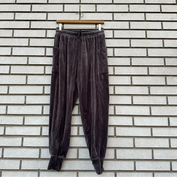 Offline by Aerie After Party Velour Jogger University Grey - Picture 4 of 14